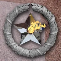 Венок вечный огонь чугун звезда нержавеющая сталь в Будённовске (518577)