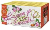 Салют Салют да любовь ЕС553 купить от производителя ФейерЛэнд — Будённовск