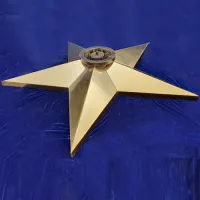 Звезда вечный огонь (1628) поставка комплект горелка ГВД 379 10 89 00 ПС ø 1100 мм. пустотелая  в Будённовске